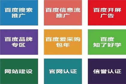 SEM搜索引擎优化成功案例，揭示优化策略与技巧